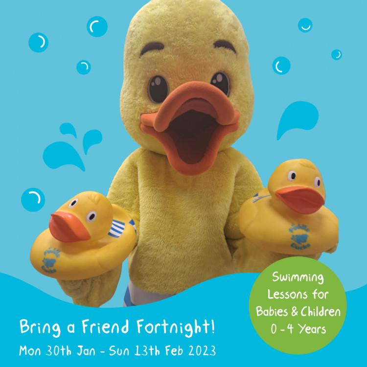 Puddle Ducks Bring A Friend Fortnight