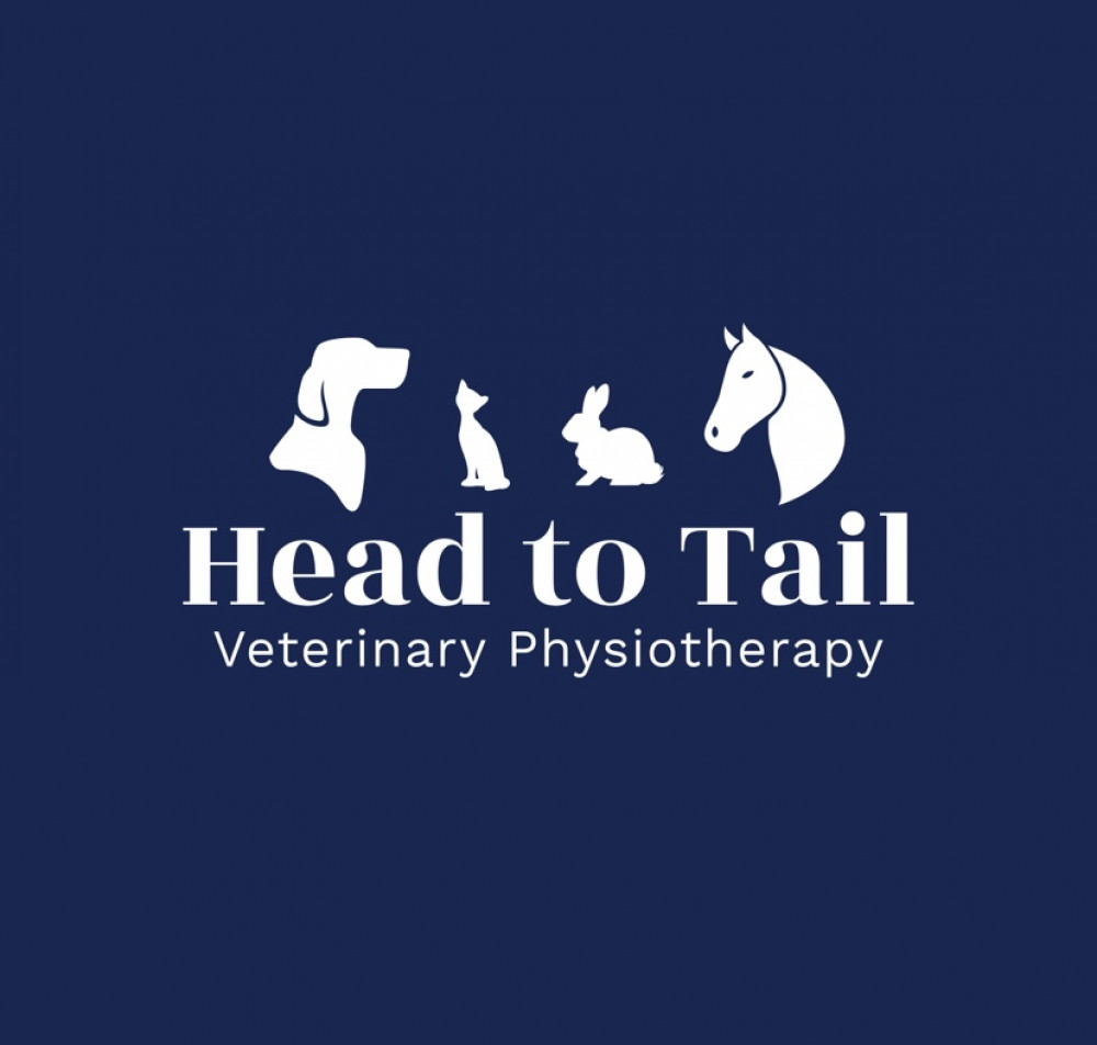 Fully qualified and insured veterinary physiotherapist registered with IRVAP. 