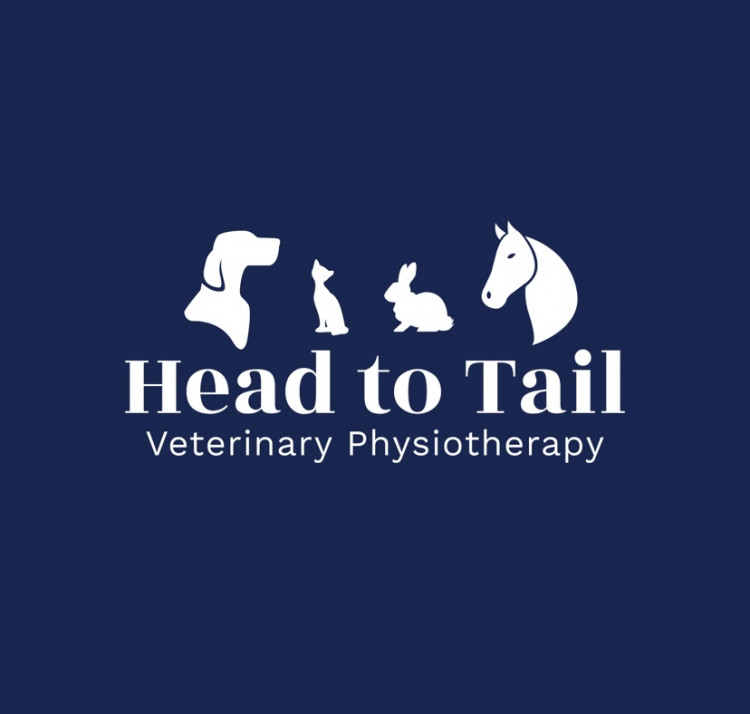 Fully qualified and insured veterinary physiotherapist registered with IRVAP. 