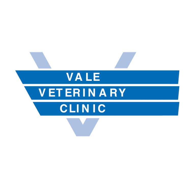 Vale Vets in South London deliver a five star professional and friendly service for all your pet care needs.