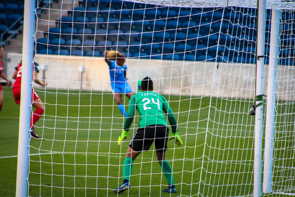 Brentford Women were left frustrated by the display from Denham United Ladies 'keeper Zara Butt. Photo: Milton Galvan from Pixabay.