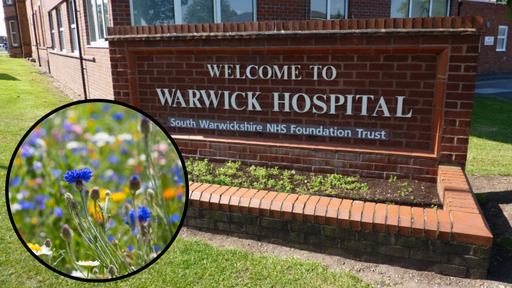 The £22,980 in funding will allow the South Warwickshire University NHS Foundation Trust to create a wildflower corridor at the rear of Warwick Hospital