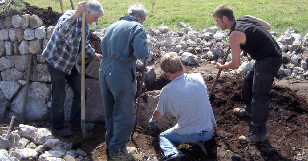 Guild training in action (Credit: Guild of Cornish Hedgers)