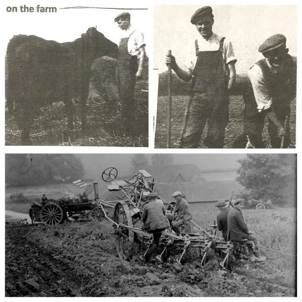 Ronald Sampson on the farm (top), and steam ploughing (image from Reading University)