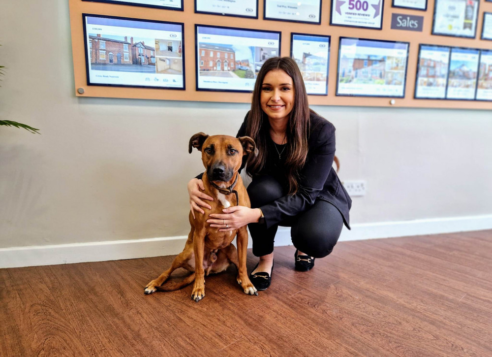 Stephenson Browne branch manager, Megan Edwards, with dog Gresty at Stephenson Browne, Nantwich Road (Ryan Parker).