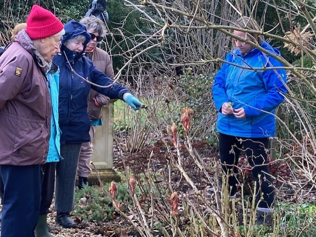  Right to left, Tutor Fiona, discussing the plants with Carole Ballm, Jilly Burston and Kay Lawrence 