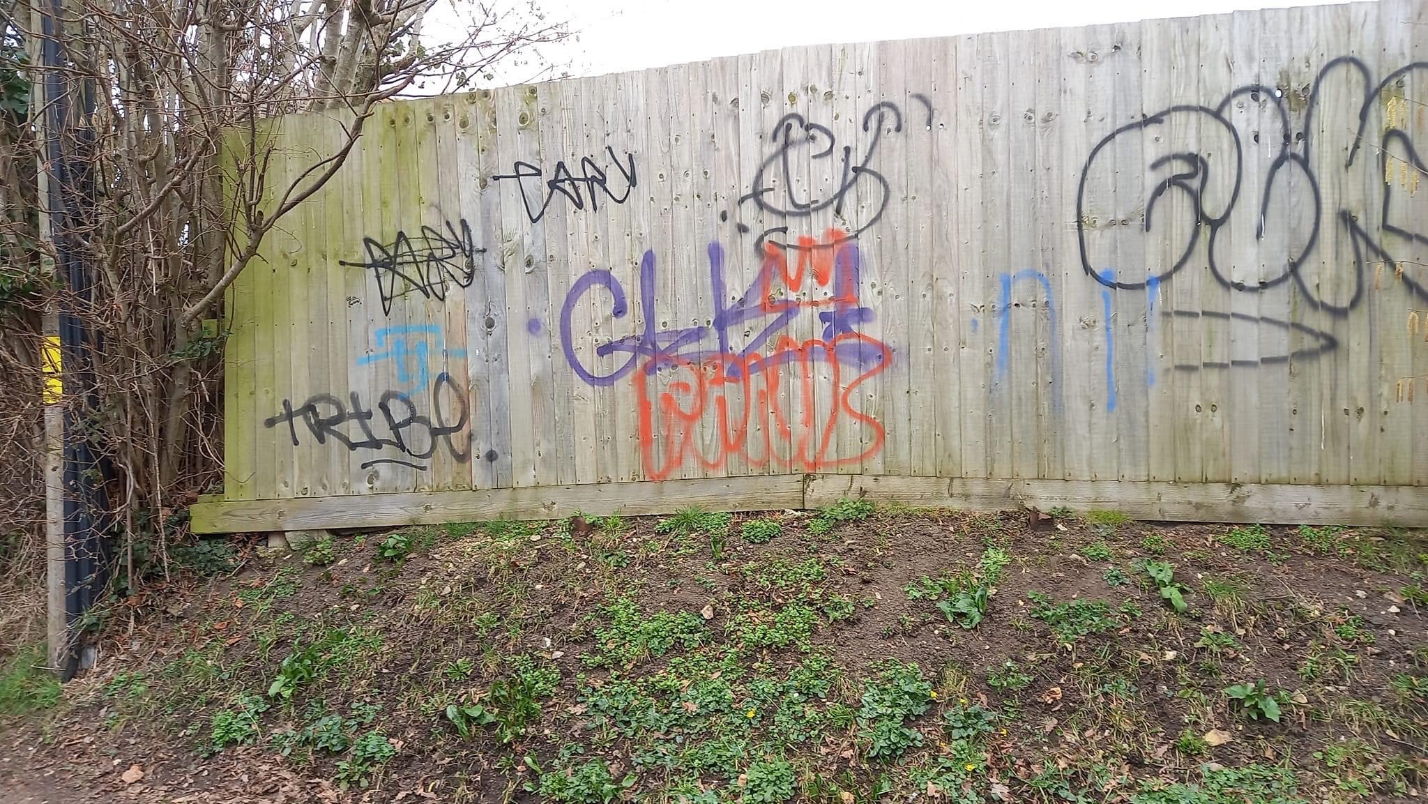 Recent examples of graffiti in Axminster