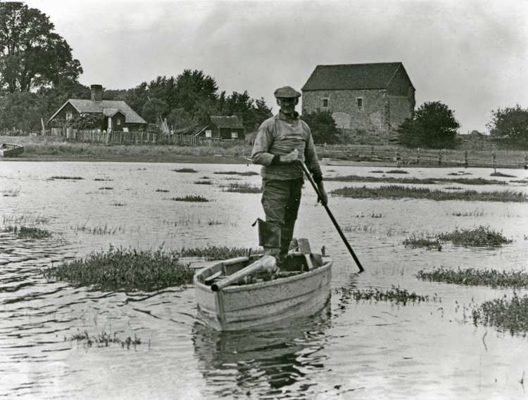 The famous Walter Linnett in front of the cottage and chapel (image by Douglas Went of Brightlingsea, supplied by Mersea Museum)