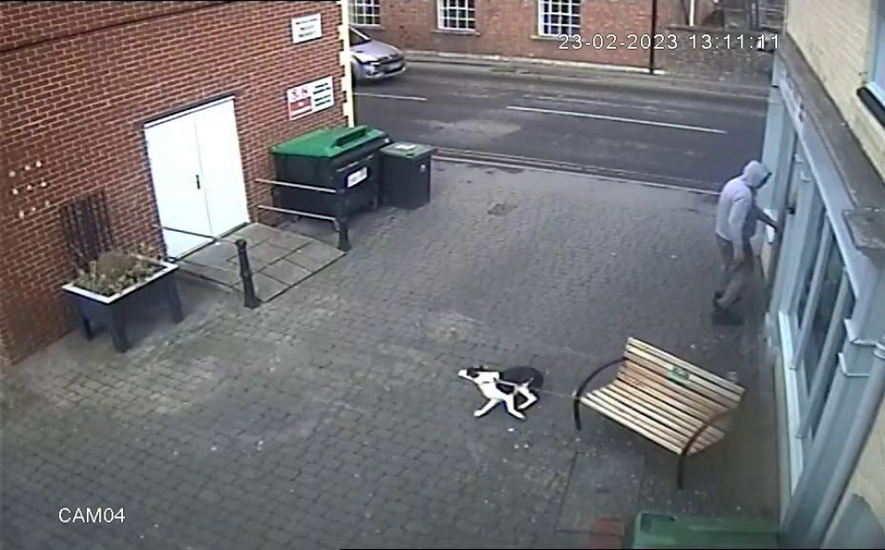 The owner of Kernow Pantry shared the CCTV footage on social media to warn other dog owners (image via SWNS)