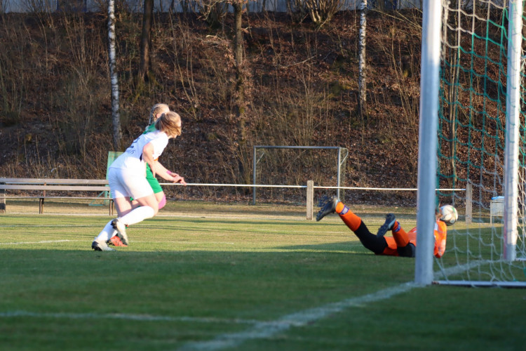 Brentford Women cut the gap at the top with a win against Clapton Community. Photo: Alexander Fox | PlaNet Fox from Pixabay.