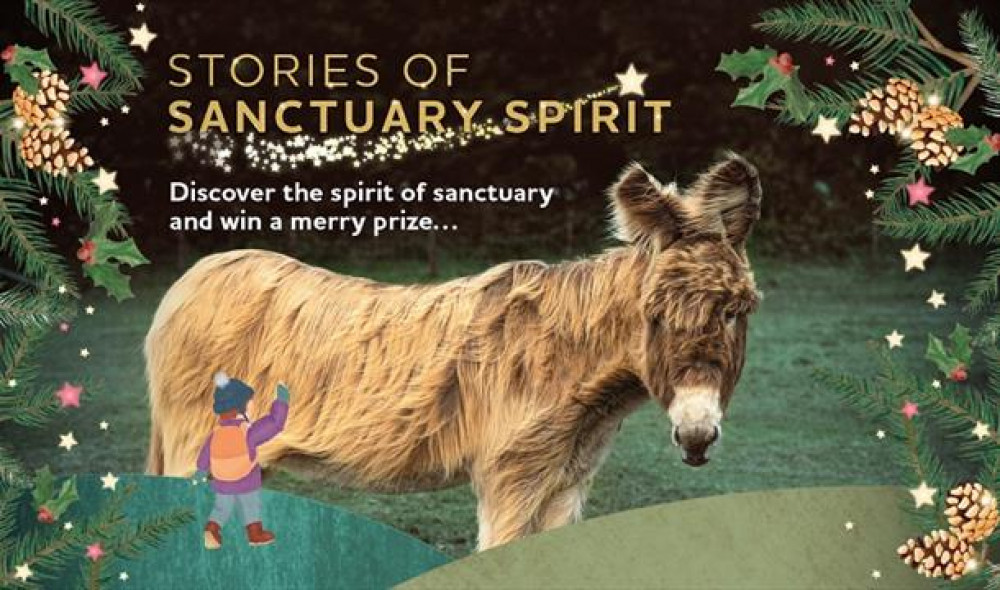 Sidmouth Donkey Sanctuary 