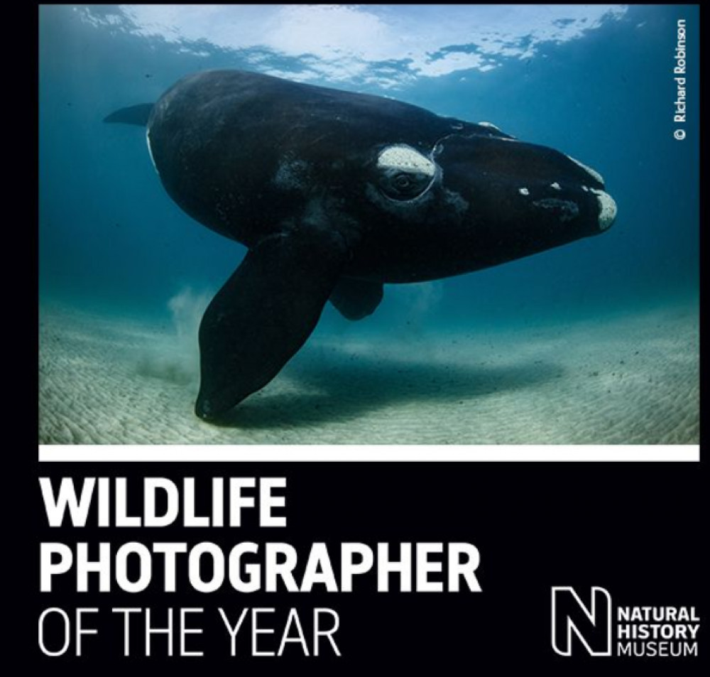 Wildlife Photographer of the Year (Credit: Natural History Museum)