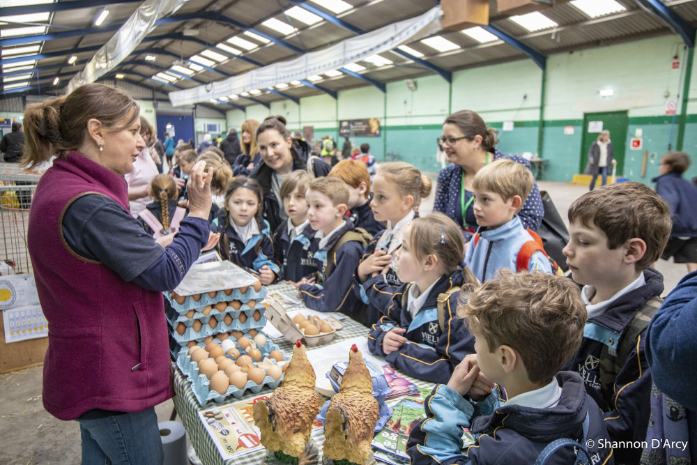 Children learningabout poultry and eggs at the Field to Food LearningDay 2019. Photographer: Shannon D’Arcy