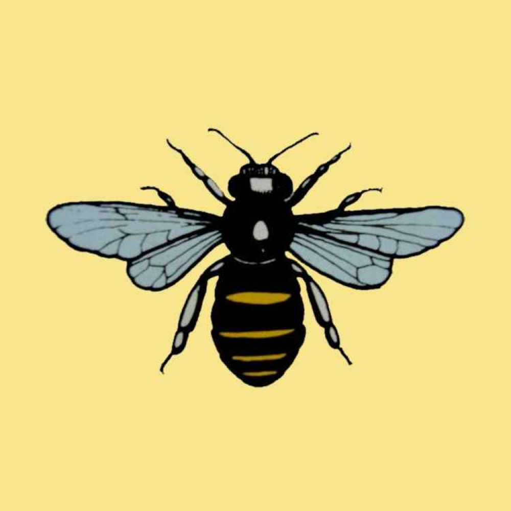 Frodsham gained its bee emblem from a nineteenth century vicar