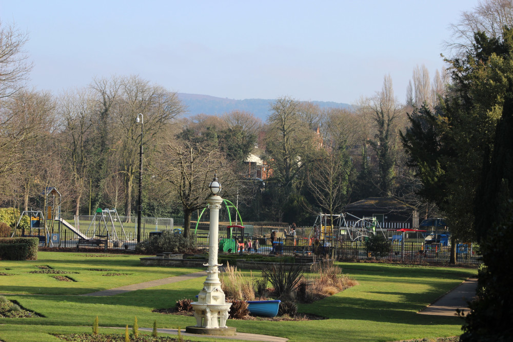 A sea of trees in Congleton Park. (Image - Alexander Greensmith / Congleton Nub News)