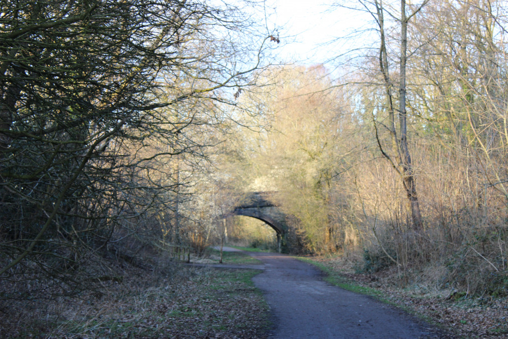 Trees on the Middlewood Way, Bollington. (Image - Alexander Greensmith / Macclesfield Nub News)