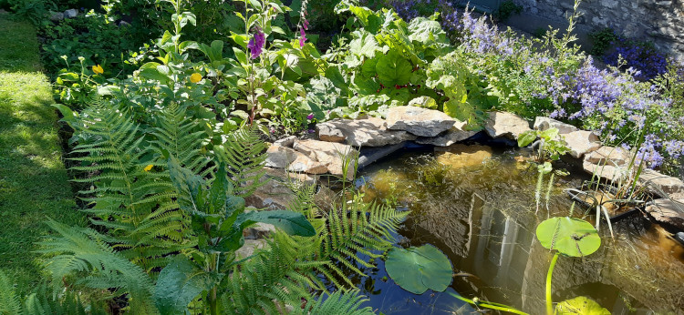 Save the date for Shepton Mallet Open Gardens Save the date for Shepton Mallet Open Gardens