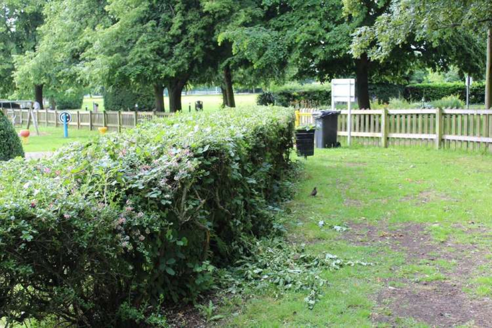 Marc Ramsden had been an assistant parks and countryside officer since June 2017 (Photo: Marc Ramsden)