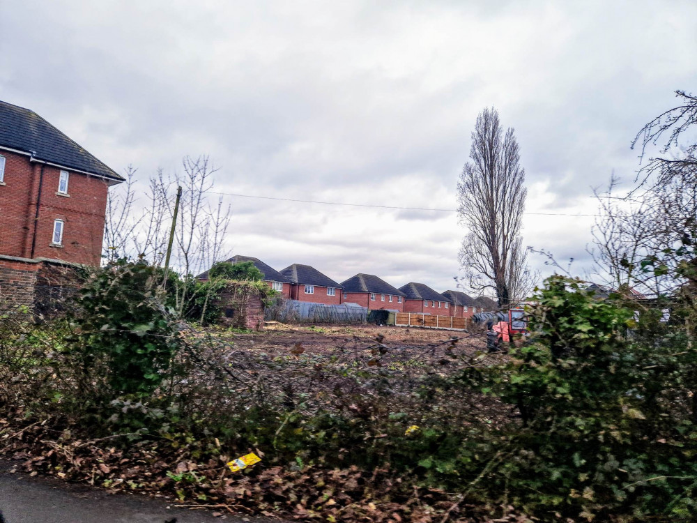 On Thursday 1 March, two were caught on video chopping down a tree, which then crashed across West Street (Ryan Parker).