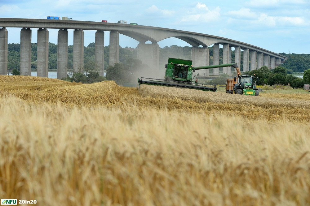 Orwell farming (Picture: PagePix)