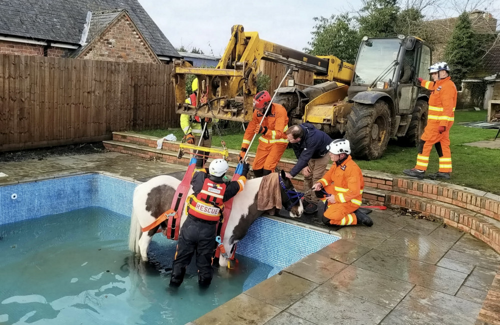The horse got stuck in a Knossington pool. Image credit: SWLS. 