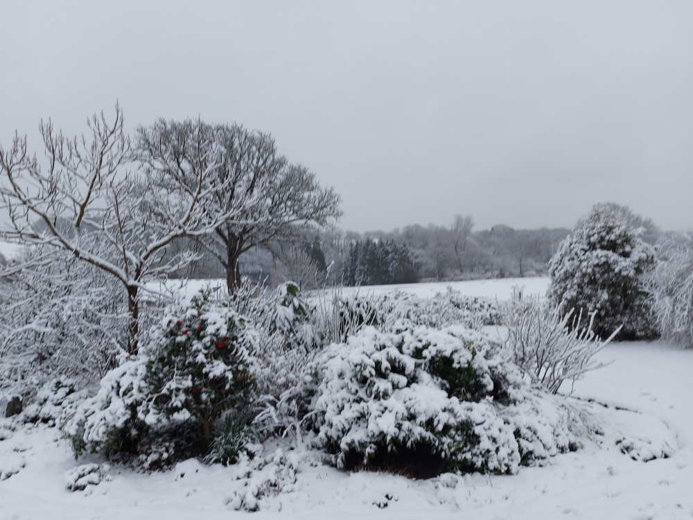 Much of the south west woke up to snow. 