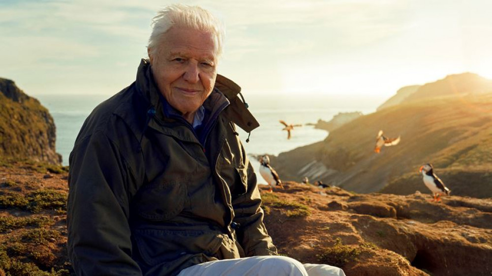 Sir David Attenborough. Credit: BBC, Alex Board, Silverback Films.