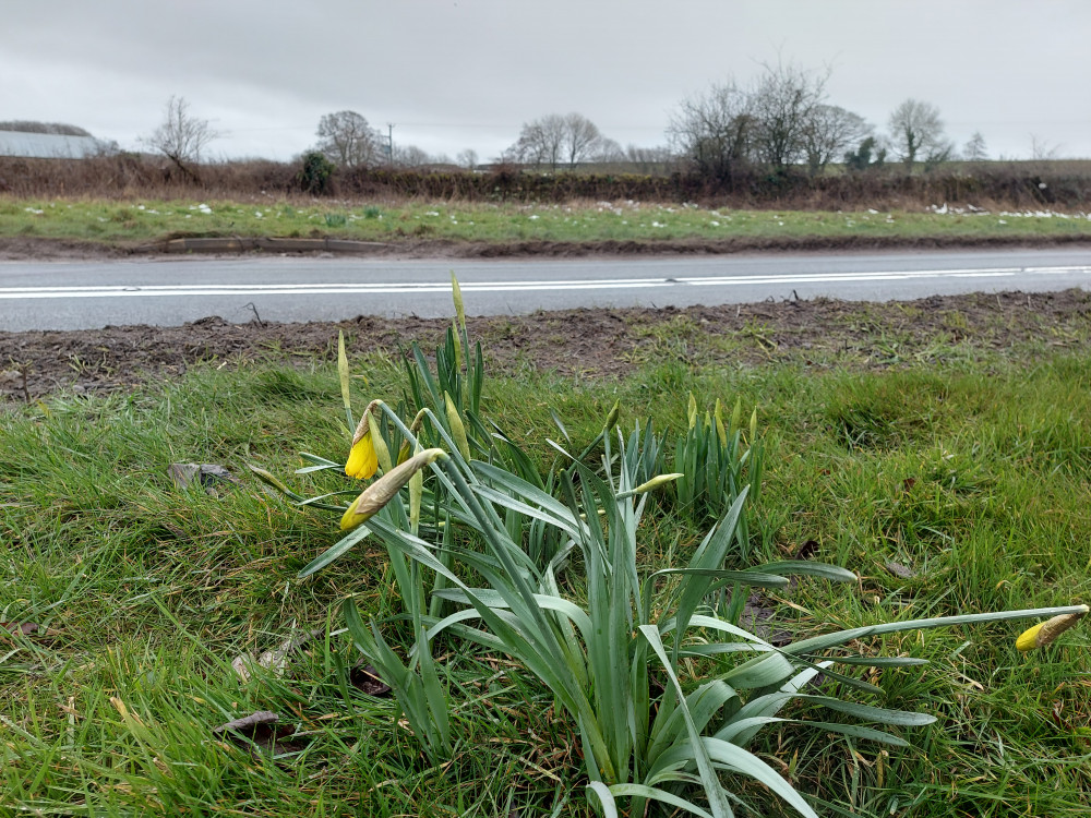 Keeping up with local weather is tricky. Last of the snow around Frome on Thursday 