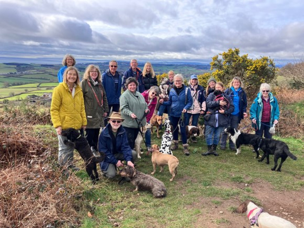 Devon Loves Dogs is asking dog owners and walkers to keep their dogs' paws on paths this spring