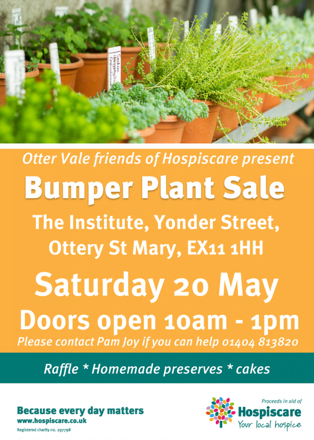 Bumper Plant Sale 