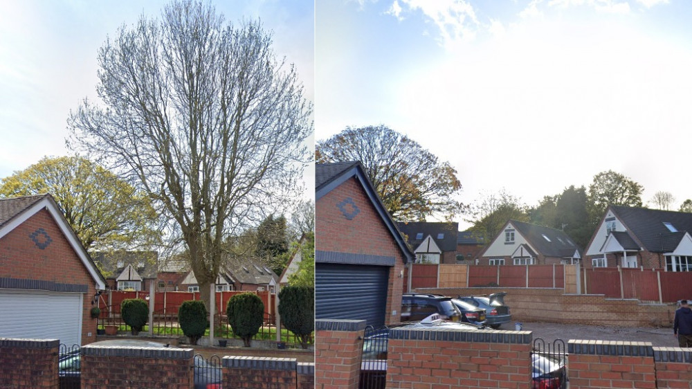 The protected tree before and after building work at Hussain's Blurton Road home (Google).