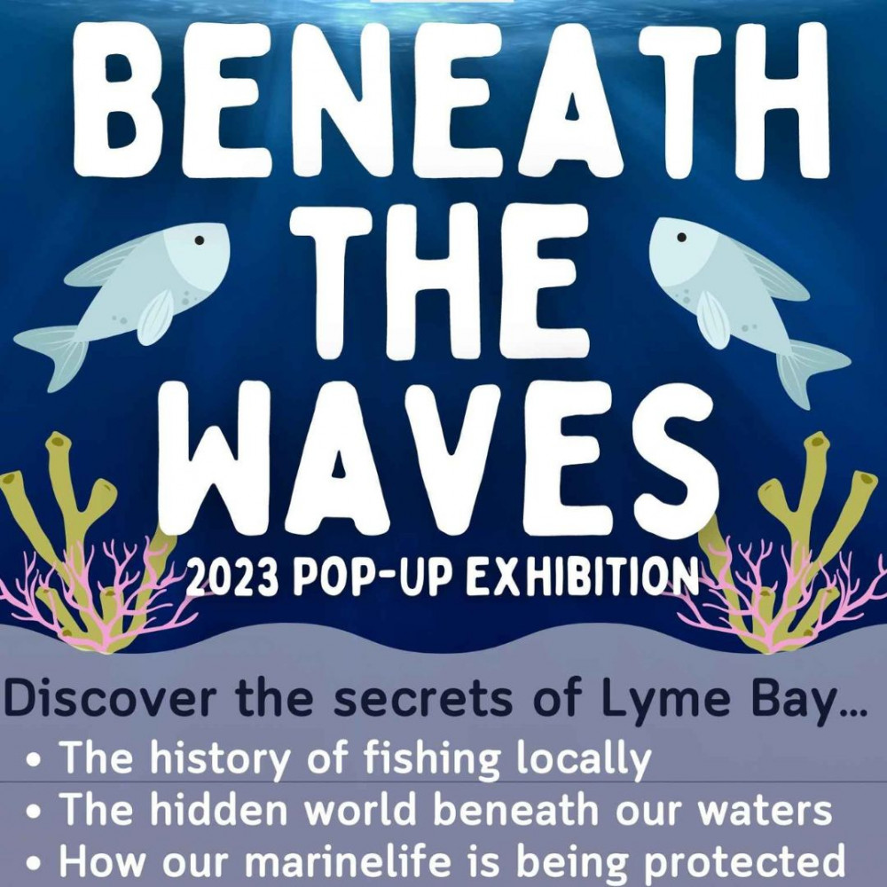 Beneath the Waves Pop up Exhibition