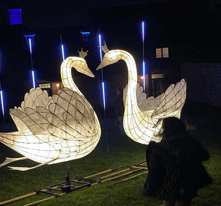 These swans led the Purfleet parade.