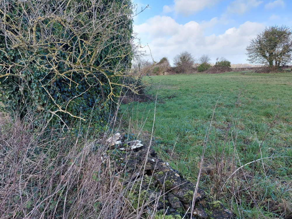 The fields in the north of Frome are a haven for walker and wildlife