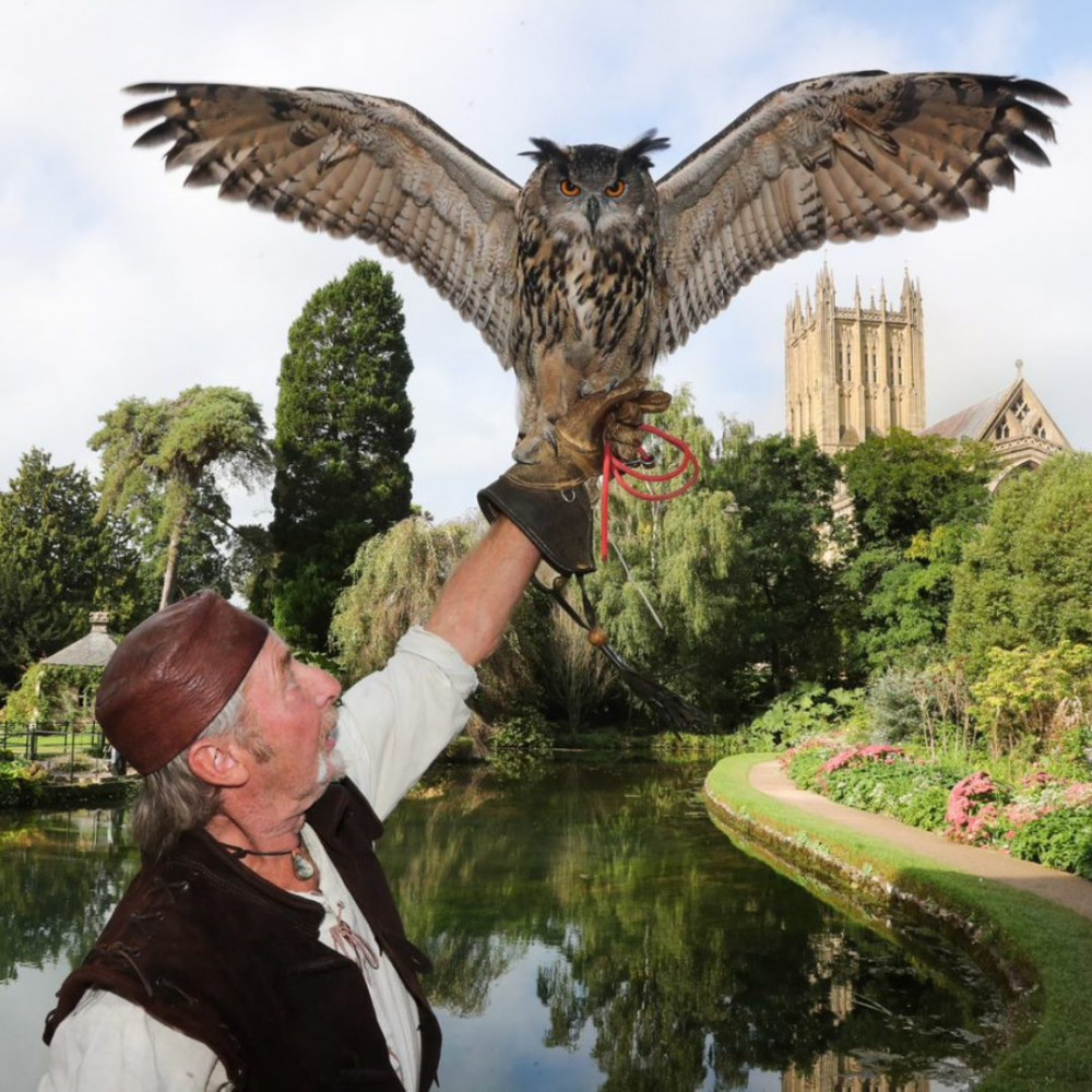 Bugs and falconry at the Bishop's Palace this Easter
