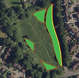 EDDC's planned planting (in light green)