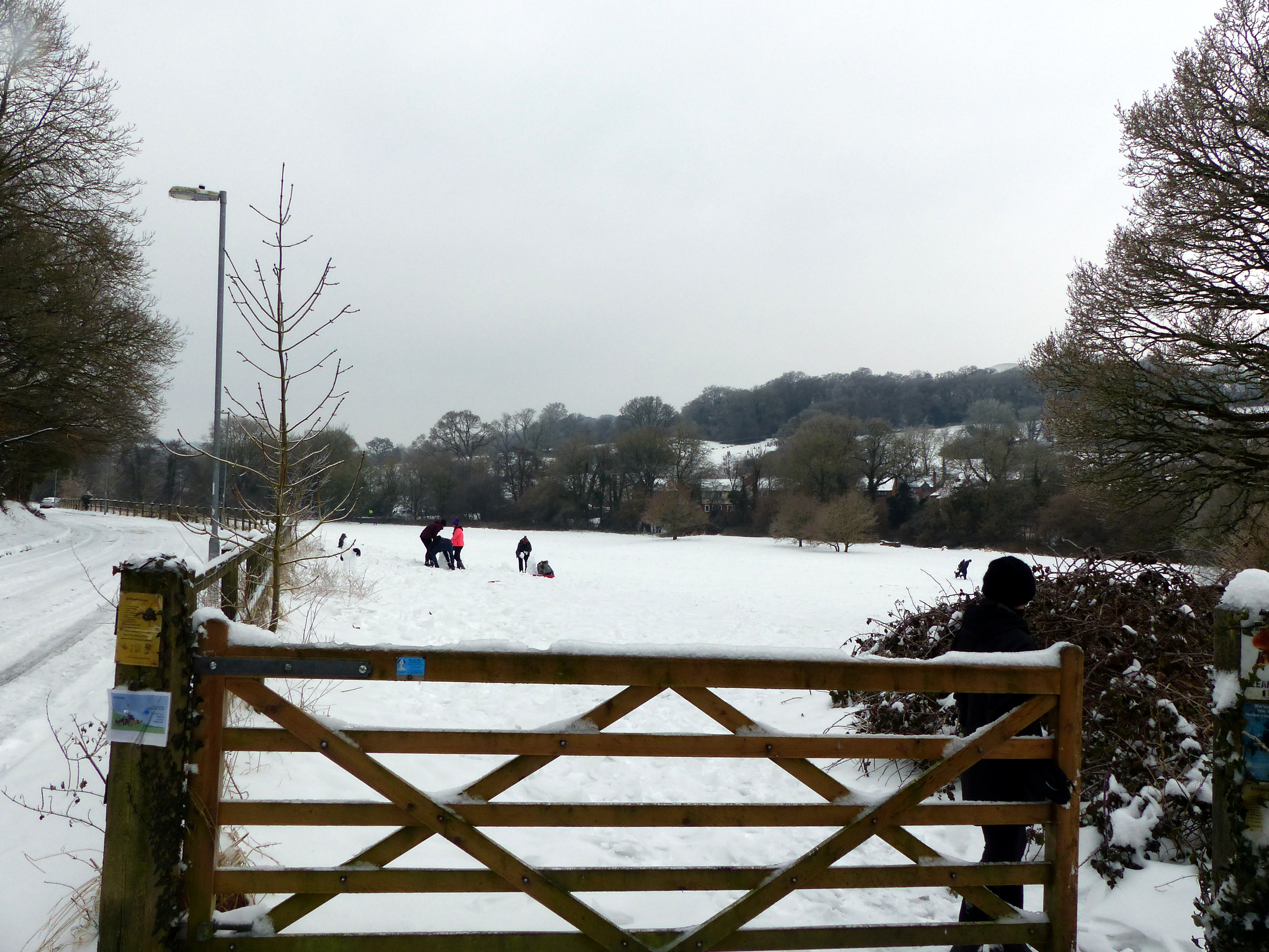 Littletown Green in 2018: children building snowmen.