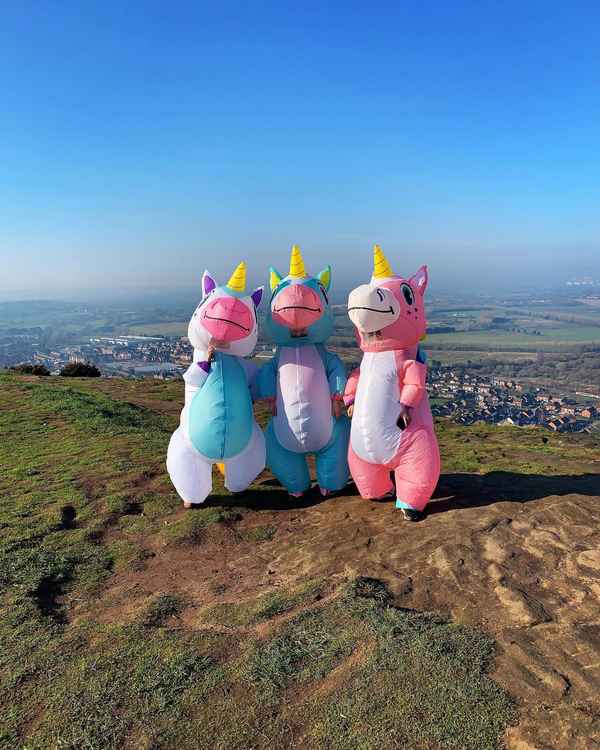 Helsby's unicorns are back, with a friend! Image: Kerry James