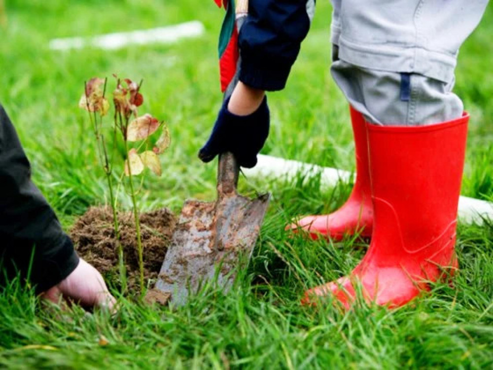 Shepton Mallet Branch of the Royal British Legion is planting a tree in Collett Park to remember the 255 members of the United Kingdom Armed Forces who were killed in action during the Falklands Conflict in 1982.