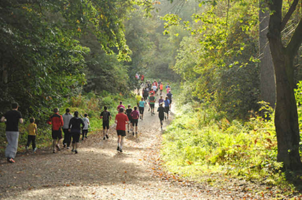 Delamere parkrun will return in June