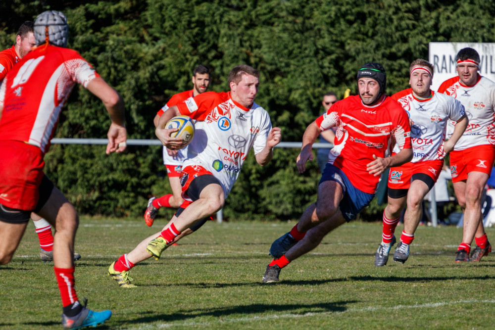 Ealing Trailfinders face in-form Bedford Blues. Photo: christianesteve from Pixabay.