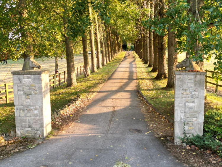 The home has a long private drive way with some clues about the owner's passion