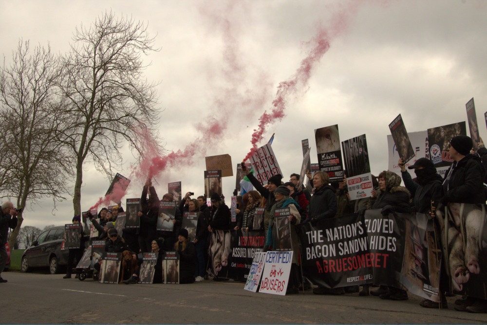 Nearly 50 protestors headed to Bickmarsh Hall Farm on Saturday (image by Animal Justice Project)