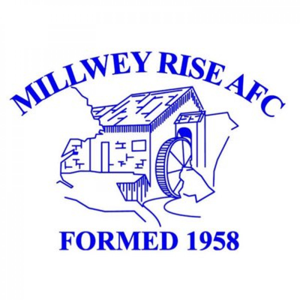 Mildewy Rise retain third spot in D & E Division Five despite defeat