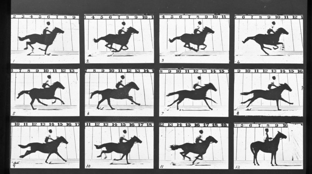 Eadweard Muybridge lived in Kingston upon Thames for the first part of his life before gaining international fame in 1878 when he took a series of photographs of moving horses (Credit: Kingston University)