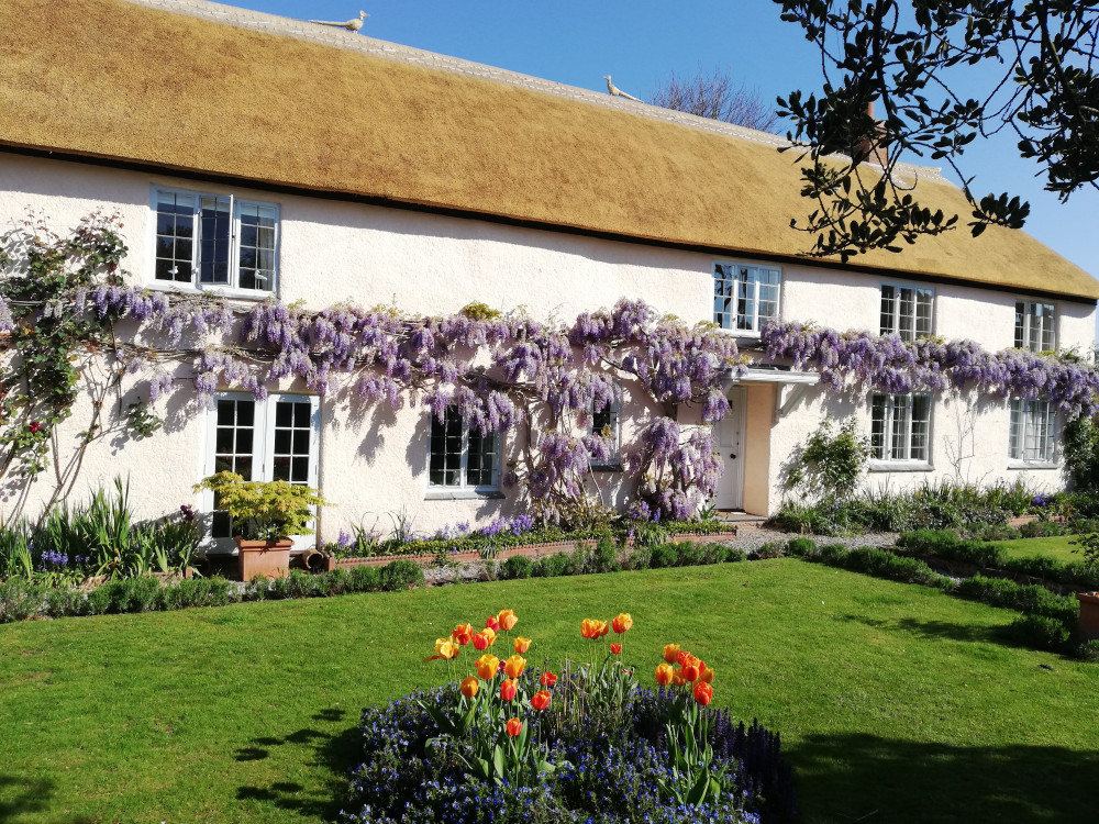 Whether it's for one day or for the whole summer season, the money you raise by sharing your garden can help to support people living with illness.