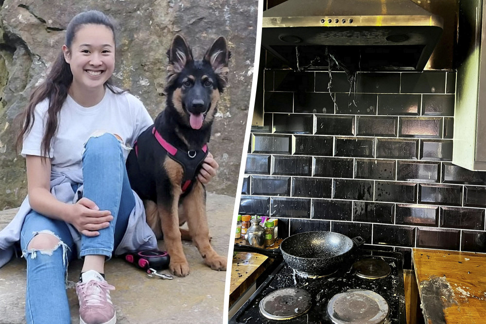 Melody Chen was saved by her German Shepherd, Mia, last month (SWNS).