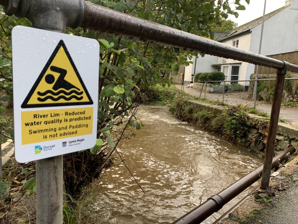 Staggering levels of E. coli have been found in the River Lim in Lyme Regis