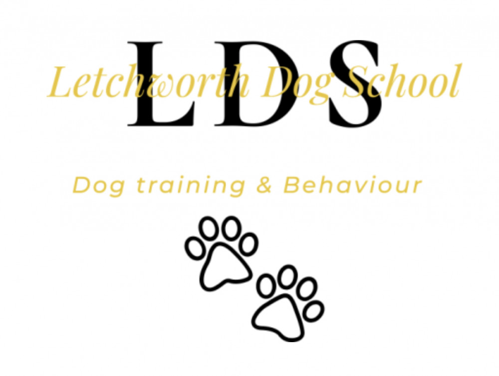 Letchworth Dog School - dog training and behaviour