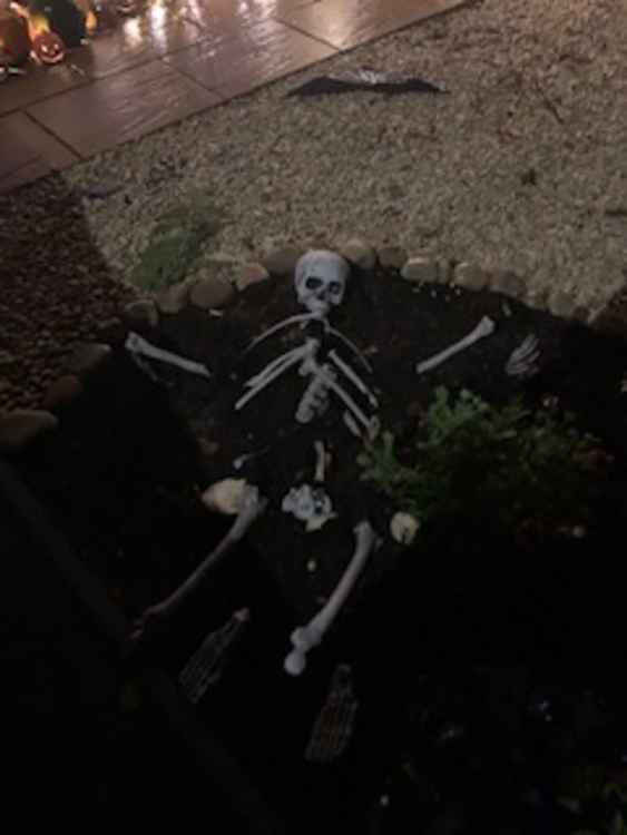 A skeleton graveyard outside their house